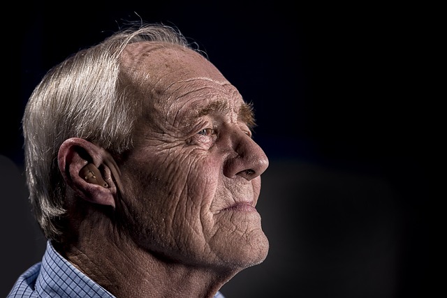 Elderly Companion Services: Navigating Care for Your Loved Ones at Home