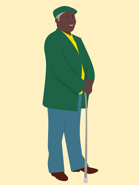 Elderly Companion Services: Enhancing Senior Home Maintenance