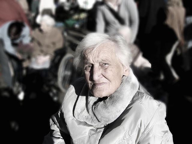 Elderly Companion Services: Combating Loneliness with Meaningful Visits