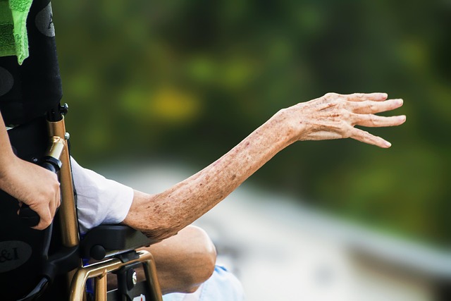 Elderly Companion Services: Enhancing Senior Quality of Life at Home
