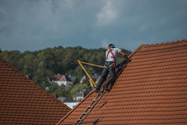 Uncovering Peace of Mind: Expert Solutions for Home Repair and Maintenance