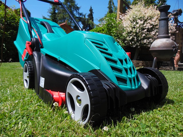 lawn-care-640x480-2598729.jpeg