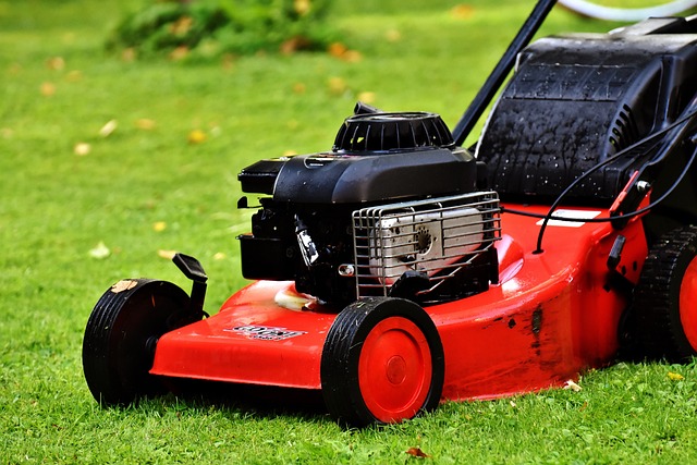 lawn-care-640x480-30999800.jpeg