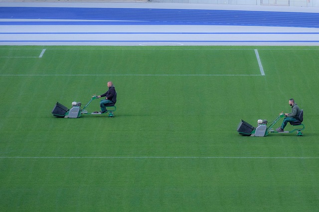 lawn-care-640x480-33565625.jpeg