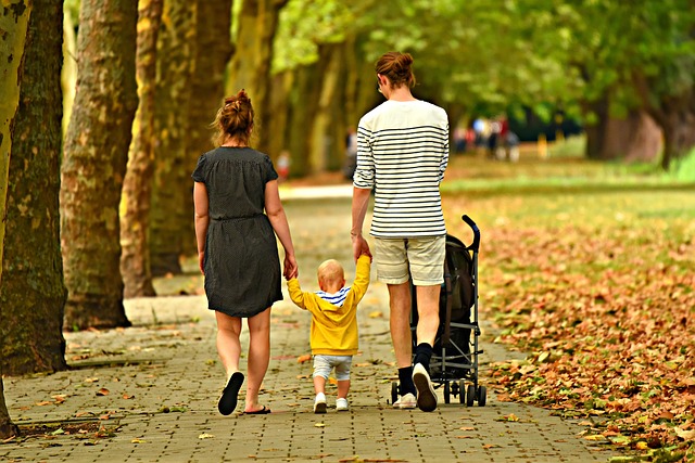 Optimizing Lawn Care and Landscaping with Seasonal Yard Cleanups