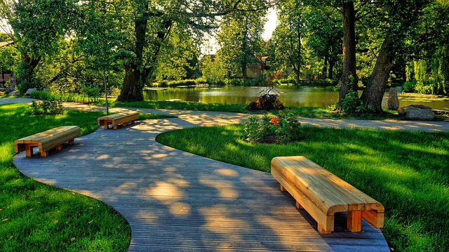 lawn-care-640x480-58916815.jpeg