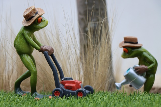 lawn-care-640x480-75722402.jpeg