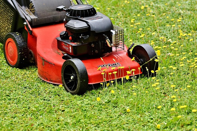 Optimizing Residential Lawn Care and Landscaping Services: Benefits and Tips