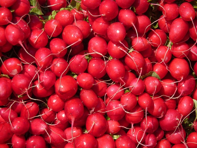 Local Food