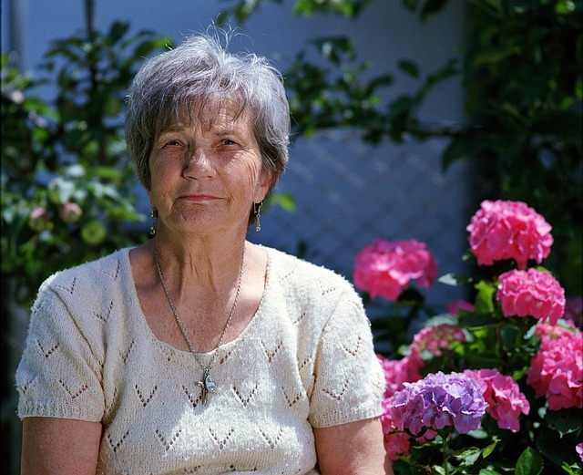 Elderly Companion Services: Monitoring, Care, and Safety at Home