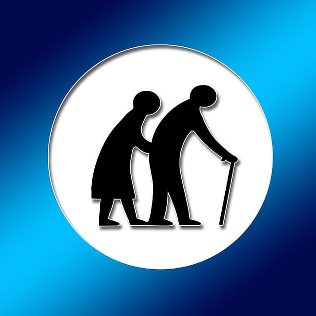 Social Interaction Solutions for Isolated Seniors via Elderly Companion Services