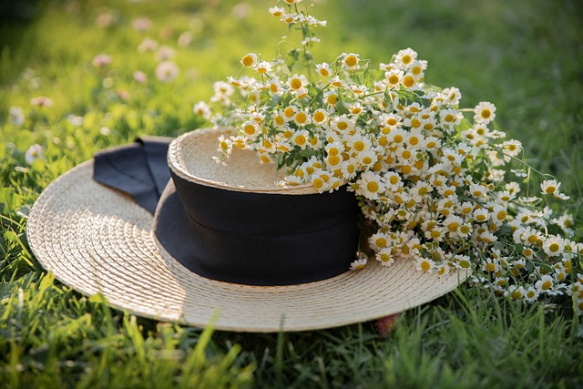 Elevate Your Outdoor Space: Expert Lawn Care and Landscaping Tips