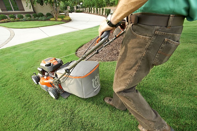 Transform Your Outdoor Space: Professional Lawn Care and Landscaping Solutions