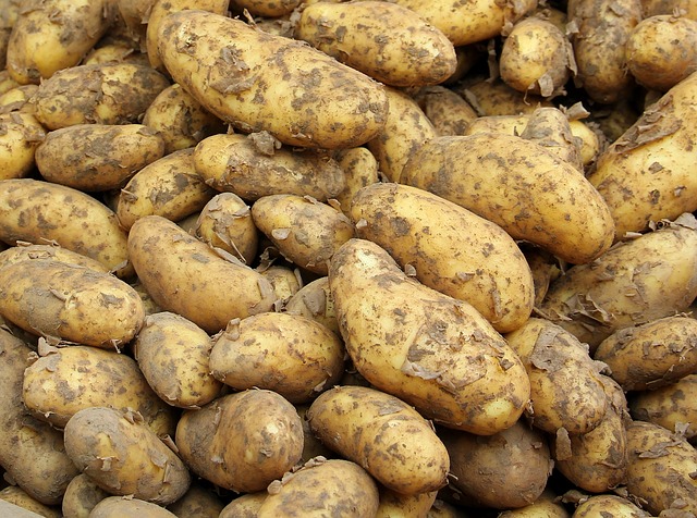 local-food-640x480-11611281.jpeg