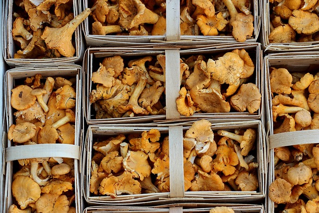 Revolutionizing Dining: Local Gourmet Meal Prep Services for Busy Lives